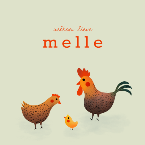 Geboortekaartje voor een kindje dat wordt geboren op het platteland