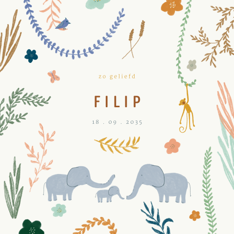 Vrolijk geboortekaartje met olifantjes, takjes, bloemen en blaadjes