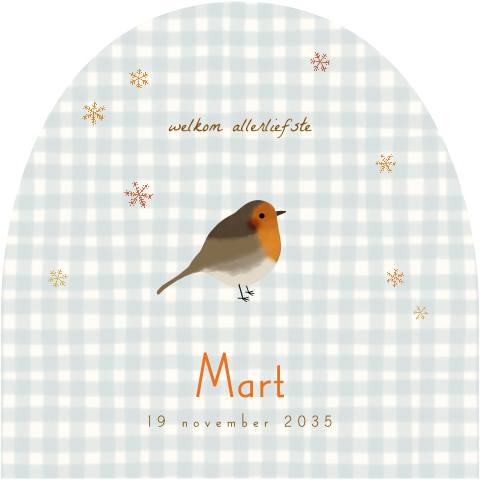 Winters boogkaartje met ruitjes en een roodborstje