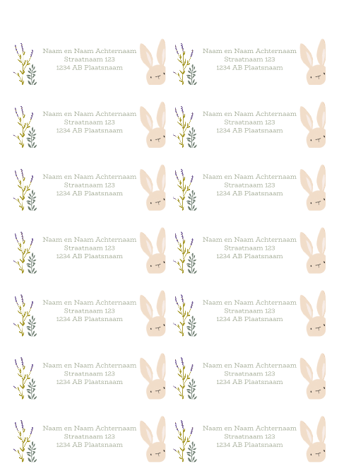 Adresetiket met bloemen, blaadjes, takjes en een knuffel konijntje