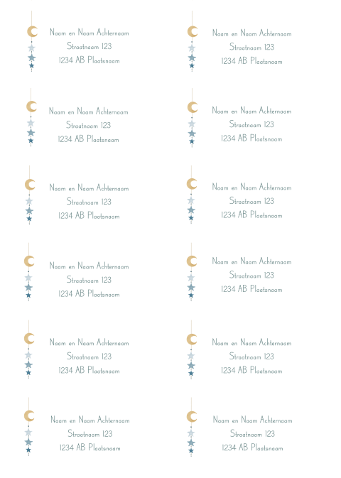 12 adresetiketten met maan en sterrenhanger