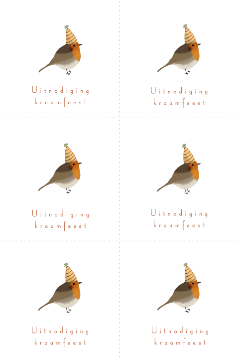 DIY kraamfeest kaartjes met een roodborstje met een feesthoedje op