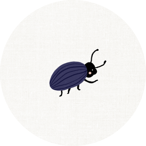 Sluitzegel met een kevertje