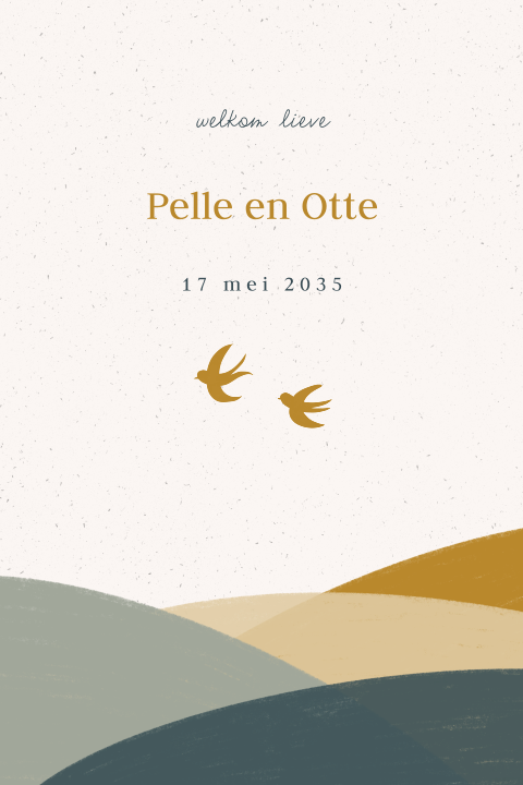 Lief tweeling geboortekaartje met heuvels, vogels en ronde hoeken