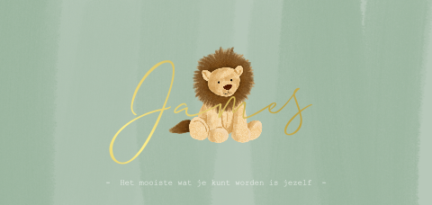 Groen geboortekaartje met een knuffel leeuw en goudfolie