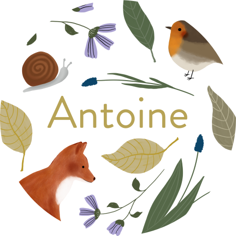 Sticker met bloemen en dieren - vel met 25 stickers