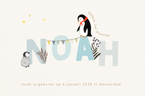 Geboortekaartje met pinguïns voor een winterbaby