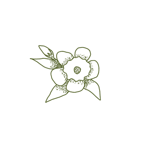 Sluitzegel met een groene bloem - vel met 25 stickers