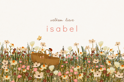 Winters geboortekaartje met een reiswiegje en roze en bruine bloemen