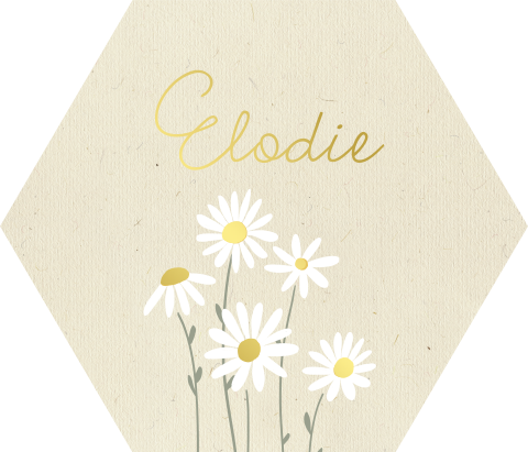 Hexagon sticker met madeliefjes en goudfolie - vel met 30 stcikers
