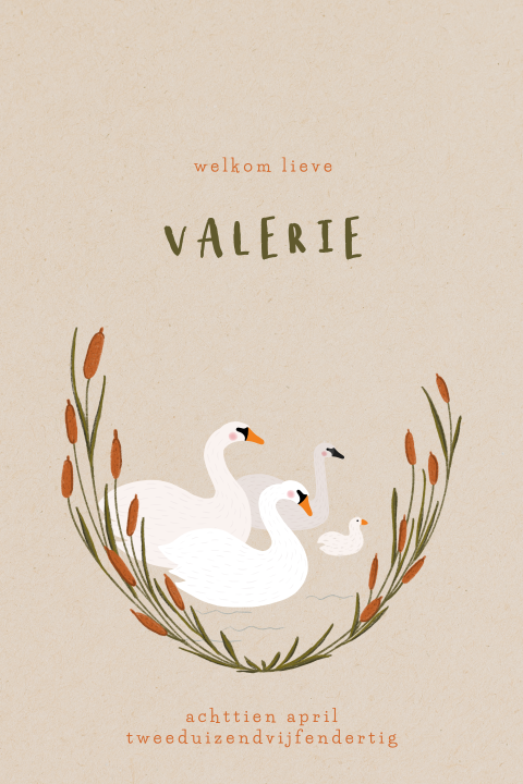 Geboortekaartje met een zwanen familie