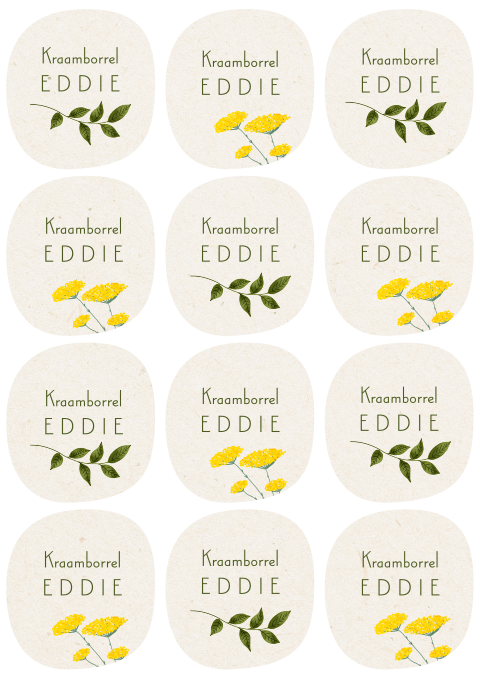Twaalf kraamborrelkaartjes met bloemen en blaadjes