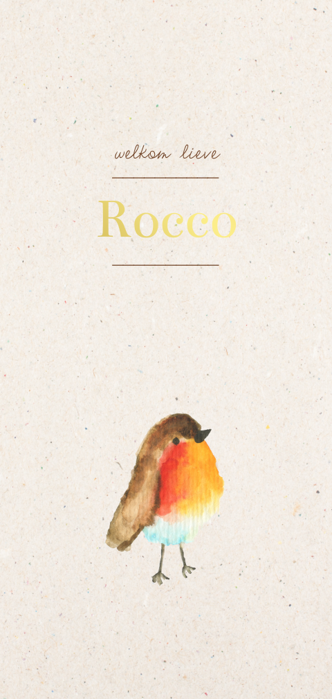 Lief geboortekaartje met roodborstje