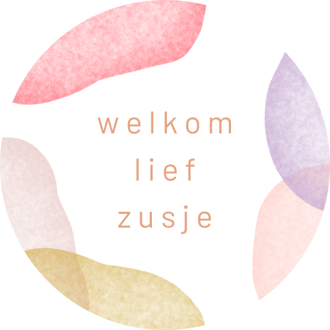Sluitzegel met gekleurde vlakken en 'welkom lief zusje' tekst - vel met 25 stickers