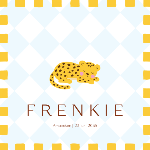 Vierkant geboortekaartje met ruitjes, blokjesrand en pantertjes