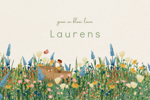 Liggend dubbel geboortekaartje met een bloemenveld