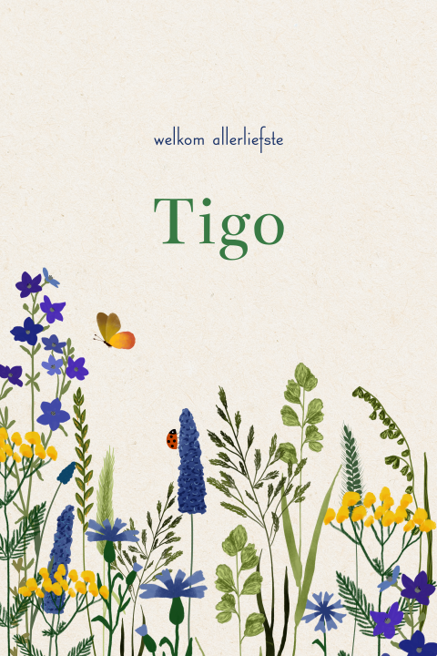 Geboortekaartje met blauwe en gele bloemen, grasjes en kleine dieren
