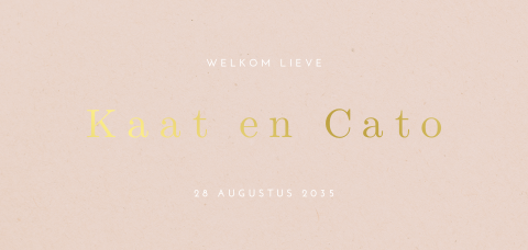 Chic geboortekaartje voor een tweeling met de namen in goudfolie