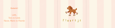 Doopsuikerdoosje met een rolschaatsende labradoodle