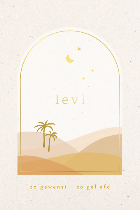 Geboortekaartje met arch, folie, maan en sterren en palmbomen