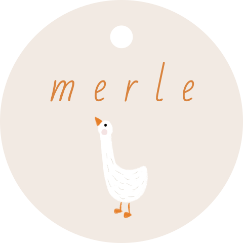 Lief rond doopsuiker label een baby gansje