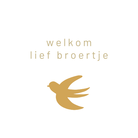 Sluitzegel met een kleine vogel, een zwaluw - vel met 25 stickers