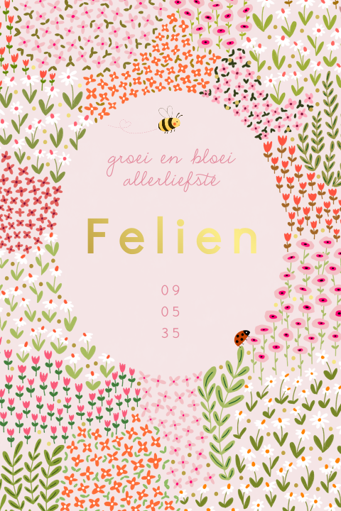 Geboortekaartje met bloemen, een bijtje en lieveheersbeestje