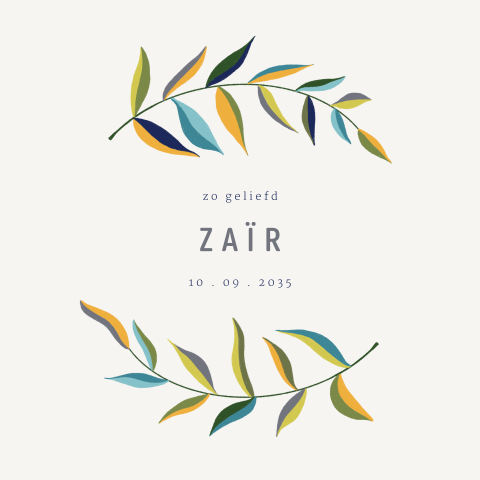 Rustig geboortekaartje met takjes en blaadjes in mooie kleuren