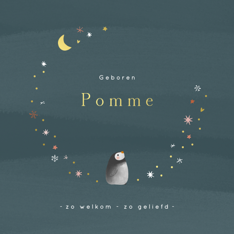 Winters geboortekaartje met een pinguïn en sterren