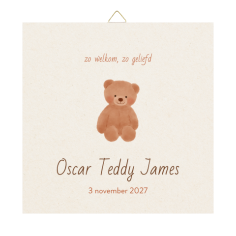 Geboortetegel met een lieve teddybeer