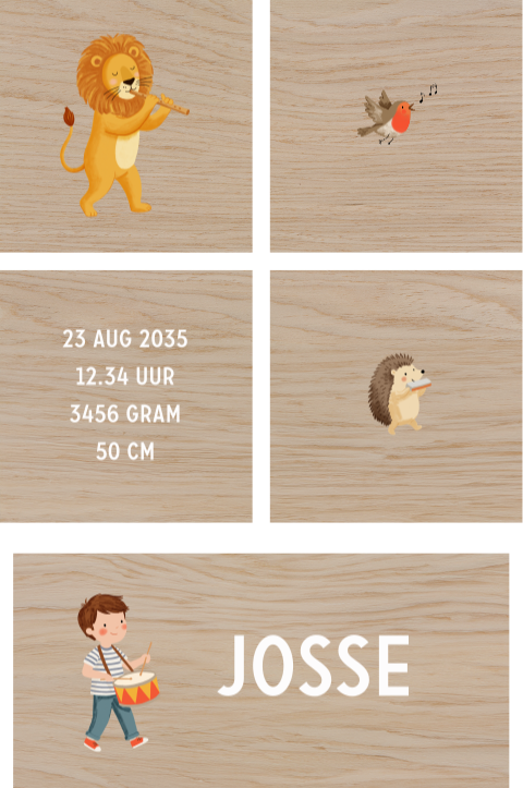 Vrolijke houten blokken met muziekmakende dieren