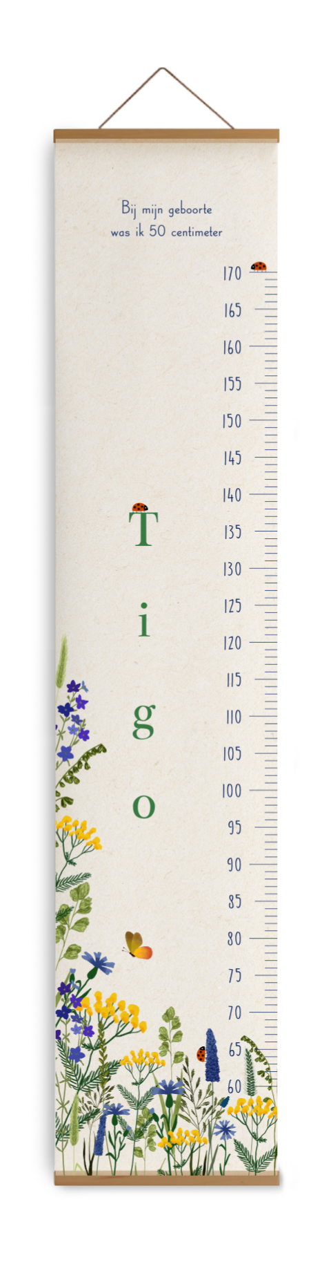 Groeimeter met bloemen en grasje, een vlinder en lieveheersbeestjes