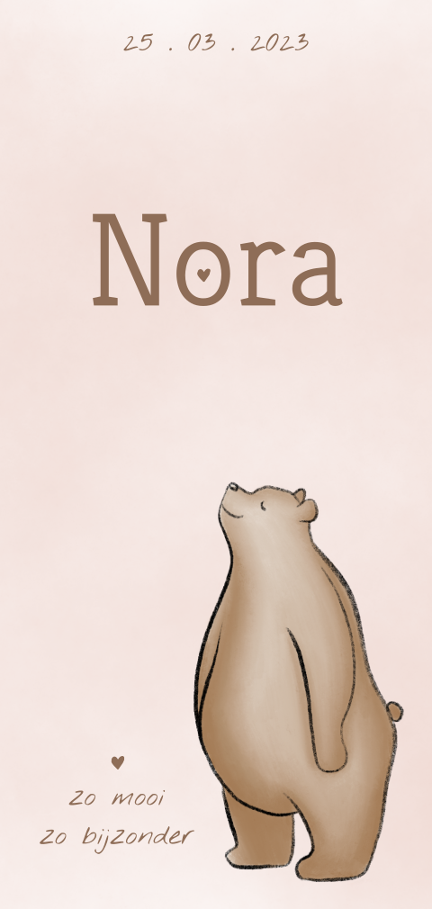 Lief geboortekaartje meisje getekend beertje