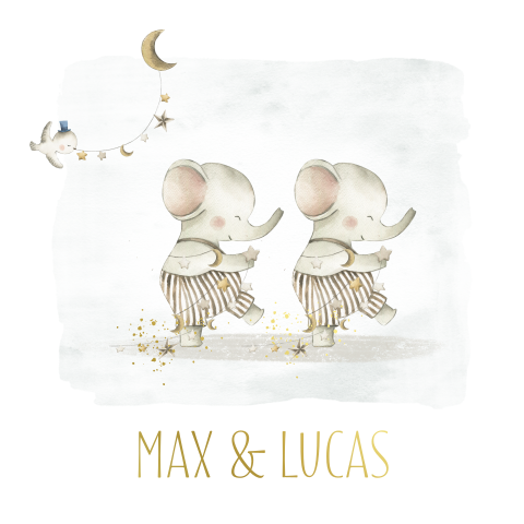 Jongens tweeling geboortekaartje olifant en slingers