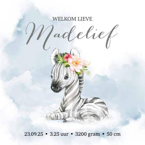 Geboortekaartje meisje met zebra en bloemen