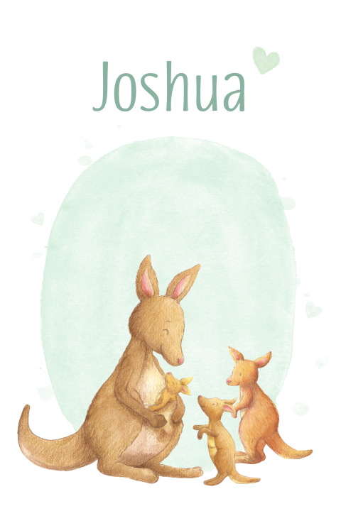 Geboortekaartje derde kindje jongen kangoeroe familie 