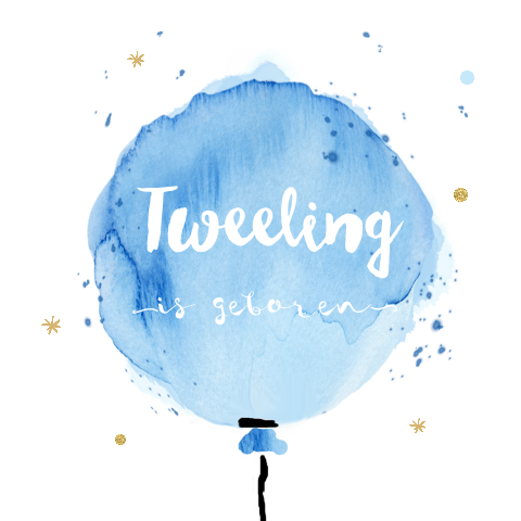 Hip geboortekaartje broertjes tweeling blauwe ballon