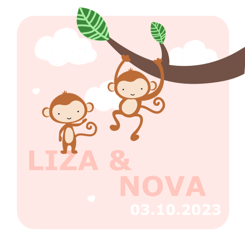 Meisjes geboortekaartje tweeling met spelende apen