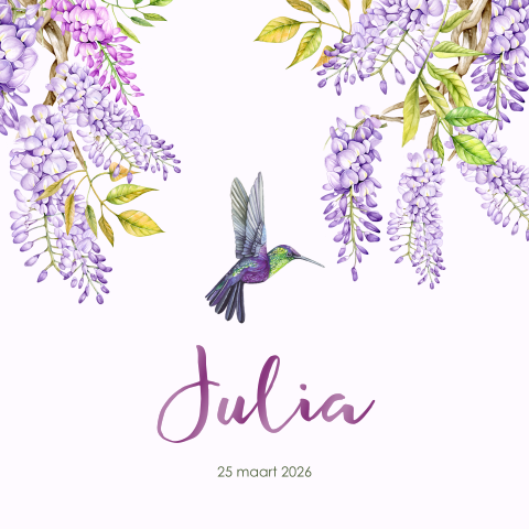 Geboortekaartje meisje hummingbird blauwe regen 