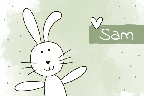 Geboortekaartje jongen wit konijn