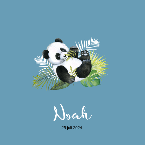 Geboortekaartje pandabeertje jongen