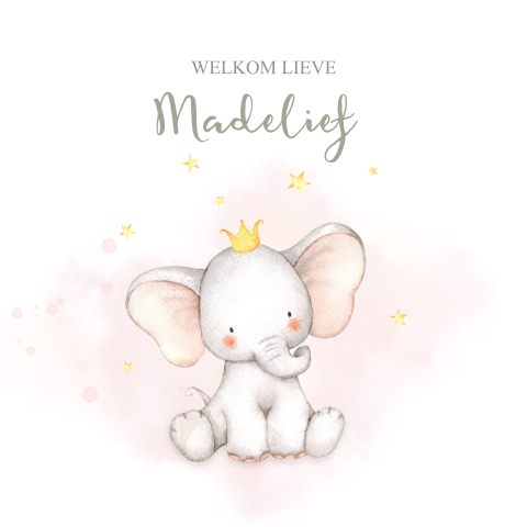 Geboortekaartje meisje met olifant en kroontje