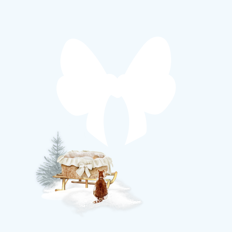 Geboortekaartje meisje met kat en winterse slee met open strik