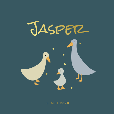 Geboortekaartje jongen familie gans met foliedruk