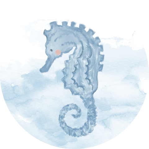 Leuke sluitzegel unisex waterverf zeepaardje past bij geboortekaartje