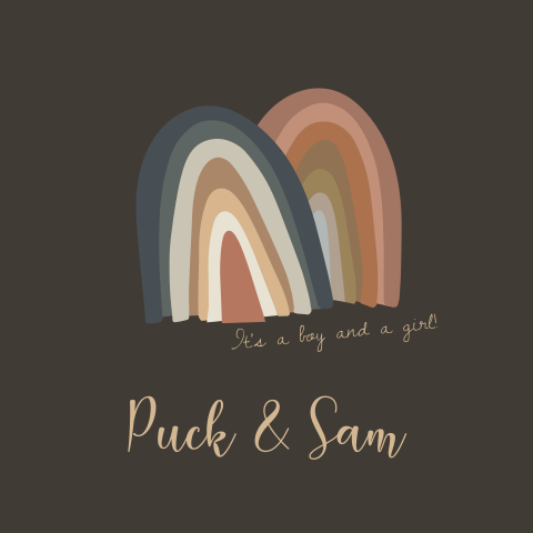 Broer zus tweeling geboortekaartje met regenboog