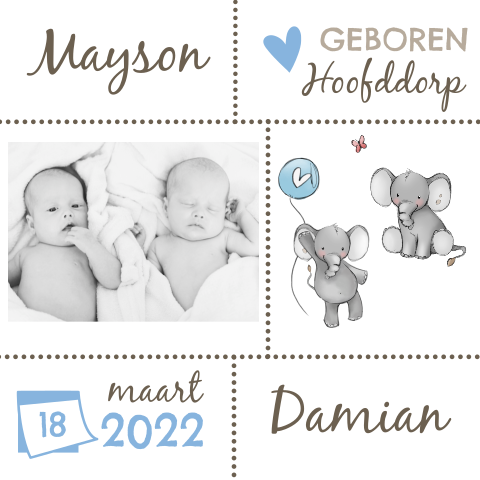 Tweeling kaartje jongen met foto en olifanten
