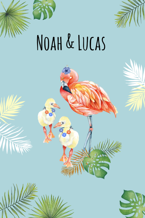 Geboortekaartje flamingo tweeling jongen