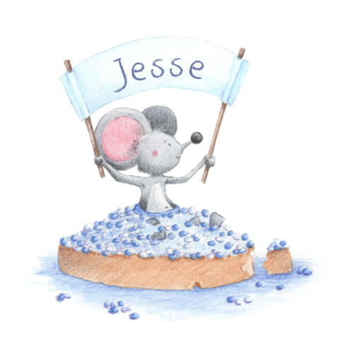 Beschuit met muisjes jongetje