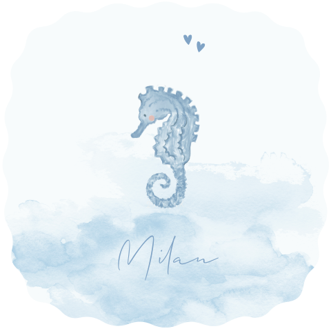 Stans geboortekaartje illustratie lief zeepaardje aquarel